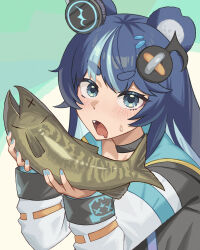 1girl absurdres animal animal_ears aqua_background arms_up bear_ears black_choker black_jacket blue_eyes blue_hair blue_nails choker colored_inner_hair commentary drooling english_commentary fang feral_instincts fish fish_(food) fujikura_uruka fujikura_uruka_(1st_costume) gerumani555 hair_ornament hairclip highres holding holding_animal holding_fish hood hooded_jacket jacket long_hair long_sleeves looking_at_viewer mouth_drool multicolored_hair multicolored_jacket musical_note musical_note_hair_ornament nail_polish open_mouth parallel_hairclips phase_connect simple_background solo streaked_hair sweatdrop thick_eyebrows two-tone_background two-tone_hair upper_body v-shaped_eyebrows virtual_youtuber white_background x_x 