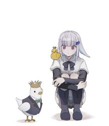  1girl :< animal animal_on_shoulder bird bird_on_shoulder black_sleeves blue_hair blush boots bow bowtie closed_mouth clothed_animal colored_inner_hair commentary_request crossed_arms crown dress full_body green_bow green_bowtie grey_boots grey_bow grey_bowtie grey_hair grey_vest hair_ornament highres lapels layered_sleeves lize_helesta long_hair long_sidelocks long_sleeves looking_at_animal looking_to_the_side monocle multicolored_hair nijisanji notched_lapels official_alternate_costume page_of_lambda sebastian_piyodore sen_izm short_dress short_over_long_sleeves short_sleeves sidelocks simple_background squatting streaked_hair two-tone_hair vest violet_eyes virtual_youtuber waistcoat white_background white_bird white_dress yellow_bird 