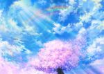  cherry_blossoms clouds iy_tujiki original petals rainbow scenic sky tree 