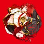  asch fingerless_gloves gloves green_eyes himuka_roko long_hair luke_fon_fabre male multiple_boys red_background red_hair redhead roko_(artist) surcoat tales_of_(series) tales_of_the_abyss 