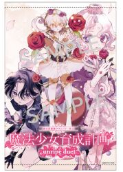  3girls belt black_eyes black_hair black_jacket cellphone commentary_request cranberry_(mahoiku) dress flip_phone flower forest_musician_cranberry_gaiden:_magical_girl_raising_project_unripe_duet frilled_dress frills hair_flower hair_ornament highres holding holding_flower holding_phone jacket leaf magical_girl mahou_shoujo_ikusei_keikaku maruino miiya_octave multiple_girls official_art petals phone purple_flower purple_rose red_flower red_rose rose sample_watermark second-party_source short_hair theremin_doll violet_eyes watermark white_hair yellow_eyes 