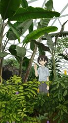  1girl ag24q black_hair collared_shirt conservatory flower grey_skirt highres nature original plant pleated_skirt scenery shirt short_hair short_sleeves skirt solid_eyes solo standing v white_shirt 