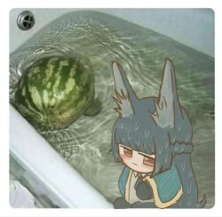 1girl animal_ears fox_ears hoshimi_miyabi long_hair submerged watermelon zenless_zone_zero