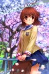  :o bag blush brown_eyes brown_hair cherry_blossoms clannad furukawa_nagisa mutsuki_(moonknives) satchel school_uniform short_hair skirt 