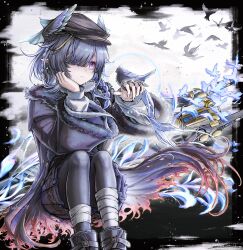  1girl 3_(sanyako1) arknights bird bird_girl bird_on_hand black_hair black_hat black_pantyhose brass_knuckles commentary_request expressionless flat_cap hair_over_one_eye hat head_wings highres knees_up long_hair long_sleeves looking_at_animal mole mole_under_eye pantyhose pointy_ears sitting solo ukusik_(arknights) violet_eyes weapon wings 