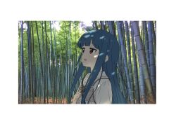  1girl bamboo bamboo_forest blue_hair border dappled_sunlight dress forest hamayakikaijo highres idolmaster idolmaster_cinderella_girls long_hair looking_up nature photo_background red_eyes sajo_yukimi smile solo sunlight upper_body white_border 