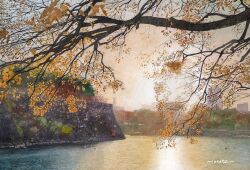  artist_name autumn commentary_request day leaf no_humans orange_sky original outdoors painting_(medium) river scenery signature sky traditional_media tree watanabe_masato watercolor_(medium) 