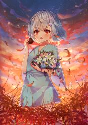  1girl akatanotaki blue_tunic bouquet clouds commentary_request cowboy_shot eating falling_petals field flower flower_field flower_request food food_request gradient_sky grey_hair hair_between_eyes hair_ornament highres holding holding_bouquet holding_food hospital_gown light_particles looking_at_viewer mochi open_mouth orange_sky original outdoors petals pink_flower purple_flower red_eyes red_flower red_petals short_hair sky solo spider_lily standing star_(sky) starry_sky three-quarter_sleeves triangle_hair_ornament tunic twilight white_flower white_lily white_petals 
