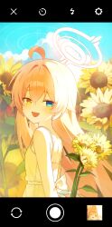 1girl absurdres ahoge blue_archive blue_eyes blue_sky breasts clouds commentary day dress fake_phone_screenshot fake_screenshot fang field flower flower_field hair_between_eyes halo heterochromia highres hoshino_(blue_archive) long_hair looking_at_viewer looking_to_the_side mongsang_illust open_mouth orange_eyes outdoors pink_hair pink_halo ring_of_light_(blue_archive) sky small_breasts solo sundress sunflower sunflower_field white_dress 
