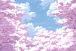  clouds petals scenic sky tree 