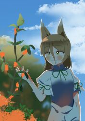  1girl :3 absurdres animal_ears blush breasts brown_hair closed_mouth clouds commentary_request day dot_nose flower fox_ears fox_girl gasubanana green_ribbon hair_between_eyes hand_up highres kudamaki_tsukasa long_hair_between_eyes medium_hair no_lineart no_sclera outdoors puffy_short_sleeves puffy_sleeves ribbon romper short_sleeves sky sleeve_ribbon small_breasts smile solo split_mouth standing touhou upper_body white_romper yellow_eyes yellow_flower 