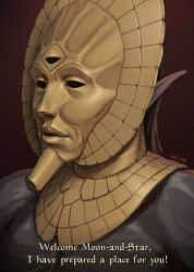  1boy artist_name black_background black_hair colored_skin commentary dagoth_ur dagoth_ur's_mask dark_elf dunmer elf english_text gold_necklace gradient_background grey_skin highres jewelry long_hair male_focus mask necklace pointy_ears portrait red_background solo the_elder_scrolls the_elder_scrolls_iii:_morrowind third_eye topless_male vagiz-ahm 