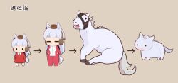  1girl animal_ears blunt_bangs blush brown_hat chibi chibi_only closed_eyes commentary_request creature_and_personification dress full_body gold_ship_(racehorse) gold_ship_(umamusume) gomashio_(goma_feet) grey_background grey_hair hat horse_ears horse_girl horse_tail jacket long_hair multiple_views no_mouth personification red_dress red_jacket simple_background standing tail tracen_training_uniform track_jacket translation_request umamusume umamusume:_peace_peace_cepea_cepea_golshi-chan |_| 