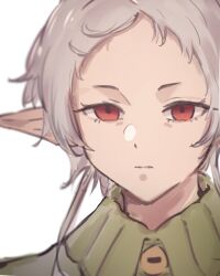  1girl absurdres closed_mouth elf english_commentary grey_hair highres ketsufan mushoku_tensei parted_bangs pointy_ears portrait red_eyes short_hair_with_long_locks simple_background solo sylphiette_(mushoku_tensei) white_background 