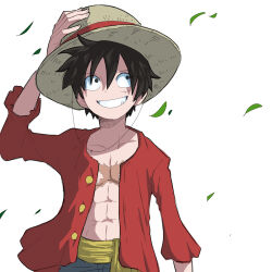  1boy abs black_eyes black_hair collarbone commentary_request grin hair_between_eyes hama_sou hat highres leaf long_sleeves male_focus monkey_d._luffy one_piece open_clothes open_shirt red_shirt scar scar_on_chest scar_on_face shirt simple_background smile solo straw_hat white_background 
