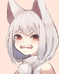  1girl animal_ears blush commentary flehmen_response grey_hair highres inubashiri_momiji looking_at_viewer open_mouth pink_background pom_pom_(clothes) portrait red_eyes shirt short_hair simple_background sleeveless sleeveless_shirt solo teeth thick_eyebrows touhou tsuyukusa_(tuyukusa_aaa) turtleneck turtleneck_shirt upper_teeth_only white_shirt wolf_ears wolf_girl 