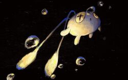  air_bubble antennae blue_skin bubble chinchou colored_skin commentary_request cross-shaped_pupils fins glowing highres no_humans open_mouth panha pokemon pokemon_(creature) pokemon_focus symbol-shaped_pupils underwater yellow_eyes 