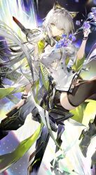  animal_ears arknights black_shoes black_thighhighs cat_ears cat_girl cat_tail chiaspicy dress flower green_eyes highres kal'tsit_(arknights) kal'tsit_esperanta_(arknights) long_hair looking_at_viewer shoes tail thigh-highs white_dress white_hair 