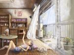  animal book butterfly cat curtains doll drink living_room lying original room scenery shirakaba yellow_eyes 