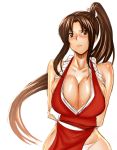  blush breast_hold breasts brown_eyes brown_hair cleavage crossed_arms fatal_fury huge_breasts king_of_fighters large_breasts long_hair ponytail shiranui_mai sideboob simple_background snk solo 