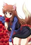  apple blush brown_hair food fruit holo izumi_mahiru long_hair mouth_hold red_eyes skirt spice_and_wolf tail wolf_ears wolfgirl 