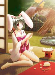  animal_ears bird blush bunny_ears bunny_tail bunnygirl food green_hair highres iori_(tail_tale) japanese_clothes louis&amp;visee miko ponytail red_eyes scan short_hair sitting socks tail tail_tale usagimimi wariza 