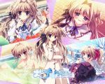  mashiroiro_symphony sena_airi tagme 