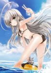  :3 ass bikini breasts character_request cloud clouds green_eyes grey_eyes haiyore!_nyaruko-san highres horse huge_ahoge innertube koin koin_(foxmark) long_hair looking_back nyarlathotep nyarlathotep_(nyaruko-san) nyaruko ocean official_art shantak_(nyaruko-san) side-tie_bikini sideboob silver_hair sky smile solo swimsuit v 