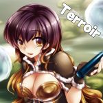  alternate_costume bad_id breasts brown_eyes bust cleavage cleavage_cutout gradient_hair heart high_wizard hijiri_byakuren long_hair multicolored_hair narumizg ragnarok_online solo touhou wizard_(ragnarok_online) 