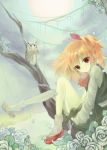  bird blonde_hair branch flower leg_hug light_smile maryquant owl red_eyes rose rumia shoe_dangle short_hair sitting solo tears the_embodiment_of_scarlet_devil touhou white_legwear white_rose youkai 