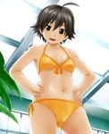  bikini black_eyes black_hair dream_c_club hands_on_hips nao_(dream_c_club) short_hair swimsuit tsukinowa_kumatarou wet 