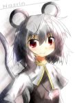  animal_ears blush bust capelet dress grey_dress grey_hair jewelry mouse_ears mouse_tail nazrin necklace pendant red_eyes short_hair smile solo sunlight tail touhou yurume_atsushi 