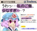  face hand_over_mouth hat hitaikakushi meme parody pink_hair purple_eyes saigyouji_yuyuko too_low_salary touhou translated triangular_headpiece tsukasa@peropero violet_eyes 