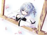  bird blue_hair curly_hair dove grey_eyes payot petals ponytail shawl sherry_90822 short_hair smile solo tales_of_(series) tales_of_innocence window 