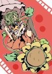  flower glisten green_hair kazami_yuuka solo sunflower touhou umbrella vines youkai 