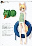  animal_ears asahiage poco swimsuit tail 