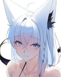  animal_ear_fluff animal_ears bikini close-up commentary_request fox_ears fox_girl fox_tail highres hololive long_hair looking_at_viewer portrait shirakami_fubuki simple_background swimsuit tail tanishi_(hetianming11093) wet white_background 