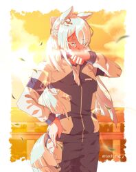  1girl animal_ears braid ear_ribbon folded_ponytail fujimasa_march_(umamusume) grey_hair half_up_half_down_braid hand_on_own_hip highres horse_ears horse_girl horse_tail jacket kasamatsu_tracen_training_uniform leoh_fng long_hair long_sleeves multicolored_jacket orange_sky outdoors pants purple_jacket purple_pants purple_track_suit shirt sky solo tail track_jacket track_pants track_suit two-tone_jacket umamusume umamusume:_cinderella_gray yellow_eyes 