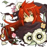  ahoge flower green_eyes long_hair lowres luke_fon_fabre male min_taso payot petals red_hair redhead scarf solo spoilers tales_of_(series) tales_of_the_abyss 