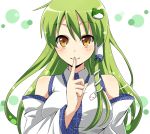  bare_shoulders blush breasts brown_eyes bust detached_sleeves face finger_to_mouth frog green_hair kochiya_sanae large_breasts looking_at_viewer sakuraba_hinano shushing smile snake solo touhou yellow_eyes 