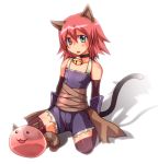  :3 animal_ears assassin assassin_(ragnarok_online) bell blue_eyes cat_ears cat_tail catboy character_request collar maho_(boku_no_kao_wo_otabeyo) male misty_(ragnarok_online) pink_hair poring ragnarok_online shadow short_hair sitting solo tail tareme trap wariza zettai_ryouiki 