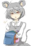  ahoge animal_ears capelet dress face ginji ginji_(sakaki_summer) grey_dress grey_hair jewelry laundry mouse_ears mouse_tail nazrin necklace open_mouth red_eyes sketch solo tail touhou 