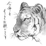  fuji_tsugu fujikei_shin monochrome new_year no_humans original solo tiger translation_request transparent_background 