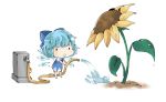  blue_hair bow chibi cirno dokufuto dress flower hair_bow hose solo sunflower touhou water wings 