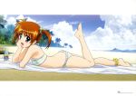  absurdres anklet artist_request barefoot beach bikini blue_eyes brown_hair cloud clouds feet hair_bobbles hair_ornament highres jewelry legs lying lyrical_nanoha mahou_shoujo_lyrical_nanoha mahou_shoujo_lyrical_nanoha_the_movie_1st on_stomach open_mouth purple_eyes short_twintails sky solo striped striped_bikini striped_swimsuit swimsuit takamachi_nanoha twintails 