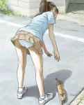  bent_over brown_hair cat child legs long_hair miniskirt original panties pantyshot ponytail skirt skirt_lift solo standing tnt tnt_(aaaazzzz) underwear upskirt white_panties 