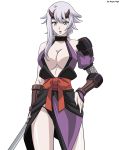  cleavage queen&#039;s_blade shizuka signed sword vector 