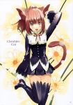  alice_in_wonderland animal_ears cheshire_cat fancy_fantasia nekomimi tail thigh-highs ueda_ryou 