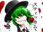 flower gloves green_hair hat kazami_yuuka miraisen rose solo touhou youkai 
