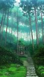  forest grass green highres nature no_humans original sakais3211 scenery shide shimenawa shrine stairs torii tree 